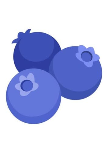 Blueberry