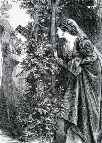 Bluff the Eavesdropper