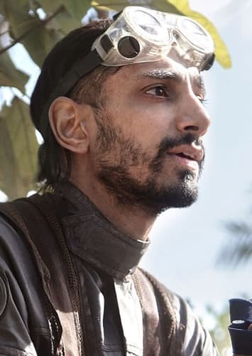 Bodhi Rook