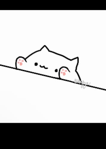 Bongo cat