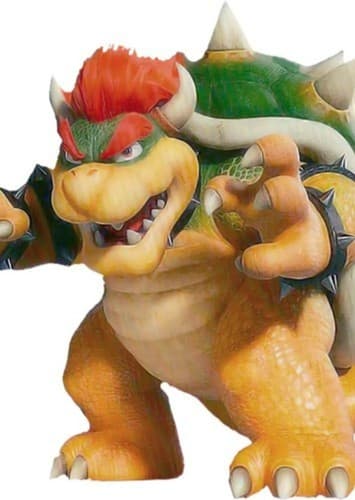 BOWSER