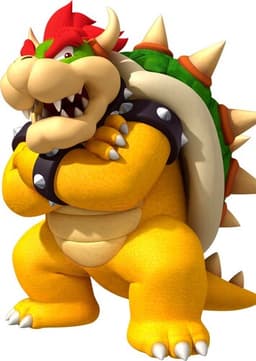 Bowser