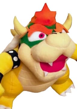 Bowser