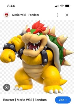 Bowser