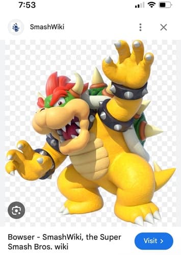 Bowser