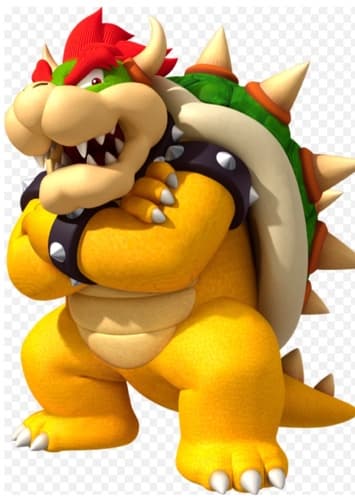 Bowser