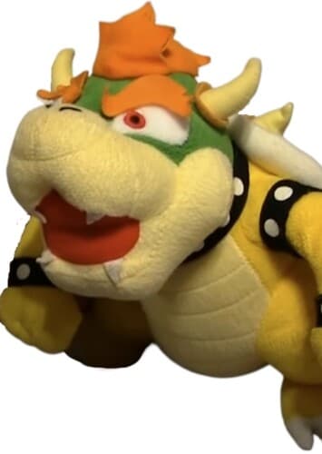 Bowser