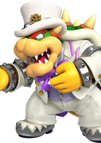 Bowser