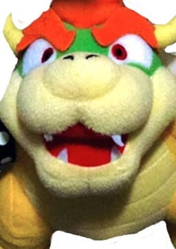 Bowser