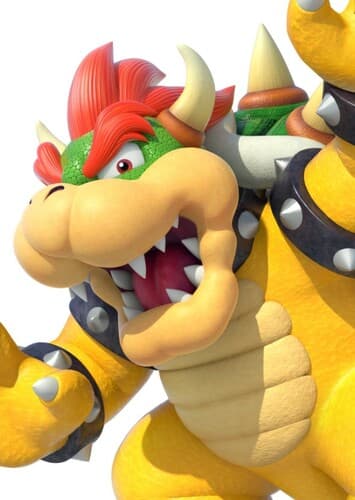 Bowser