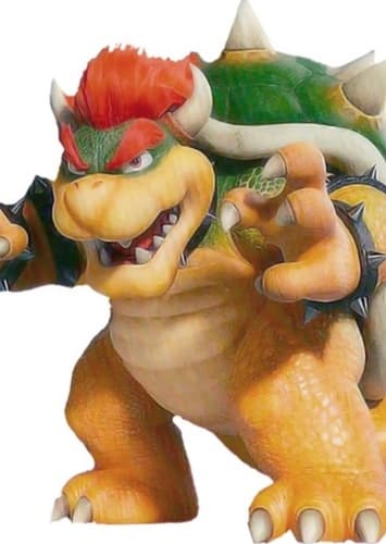 Bowser