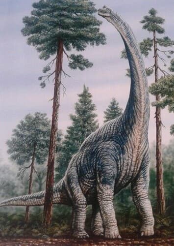 Brachiosaurus