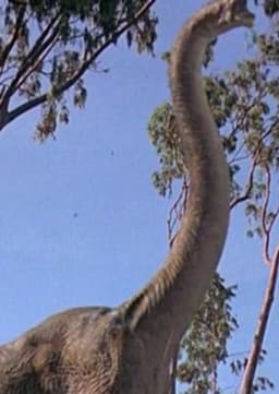 Brachiosaurus