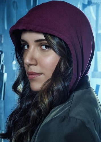 Brandy Barr Williams