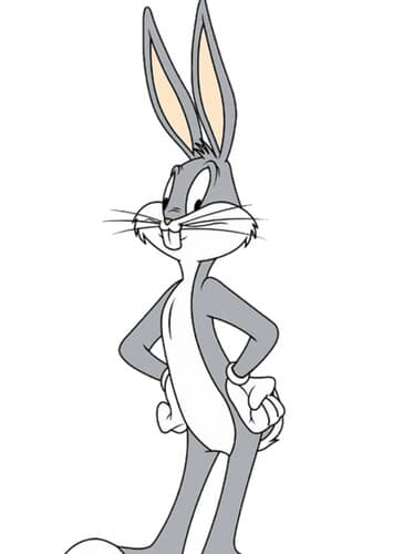 Bugsworth George Washington Bunny