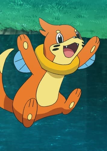 Buizel