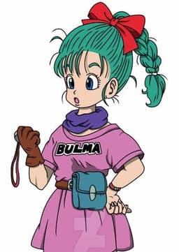 Bulma