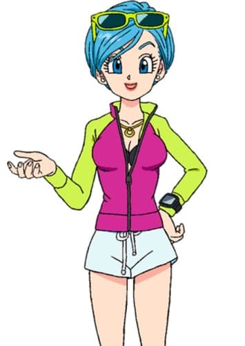 Bulma