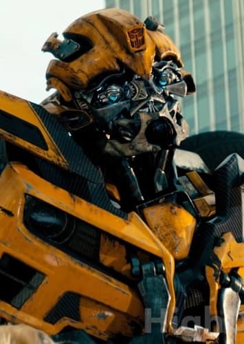 Bumblebee