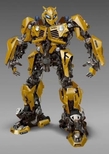 Bumblebee/Goldbug