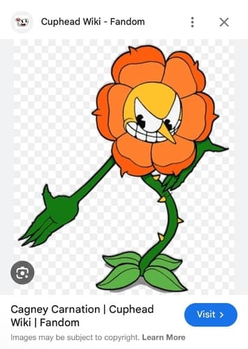 Cagney carnation