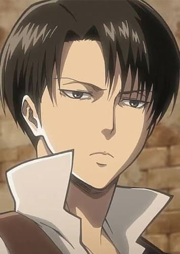 Captain Levi