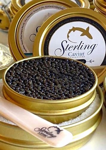 Caviar