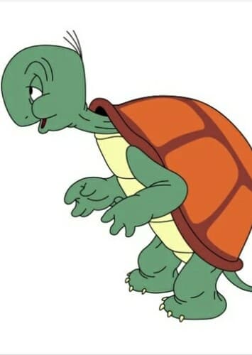 Cecil Turtle
