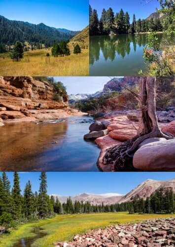 Cedar Mountain Formation