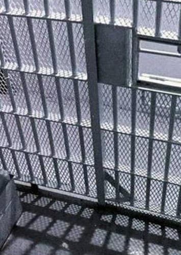 Celebrities That Belong In Jail