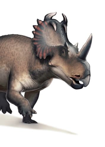 Centrosaurus