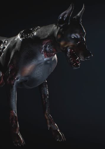 Cerberus