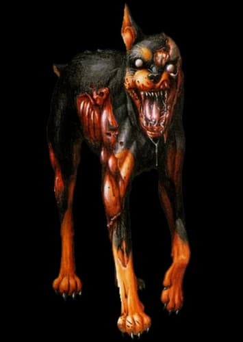 Cerberus