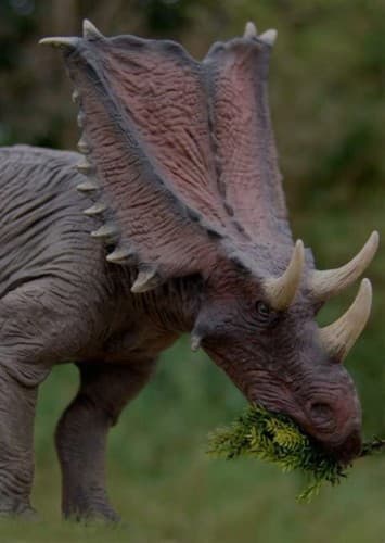 Chasmosaurus
