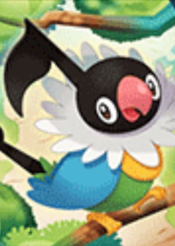 Chatot / ペラップ