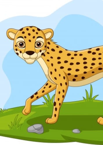 Cheetah