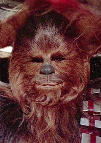 Chewbacca