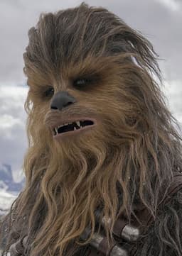 Chewbacca