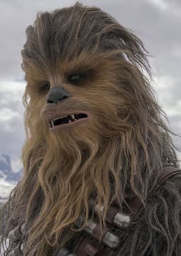 Chewbacca