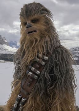 Chewbacca