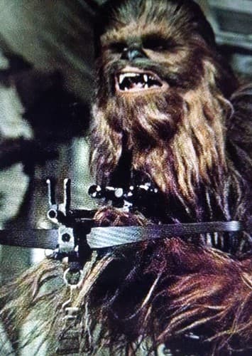 Chewbacca