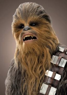 Chewbacca
