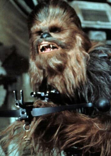 Chewbacca