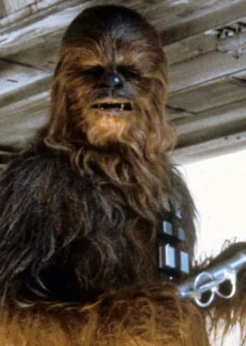 Chewbacca