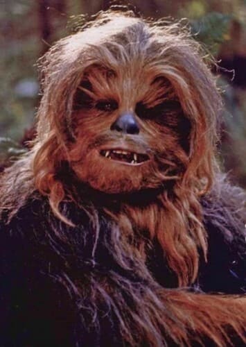 Chewbacca