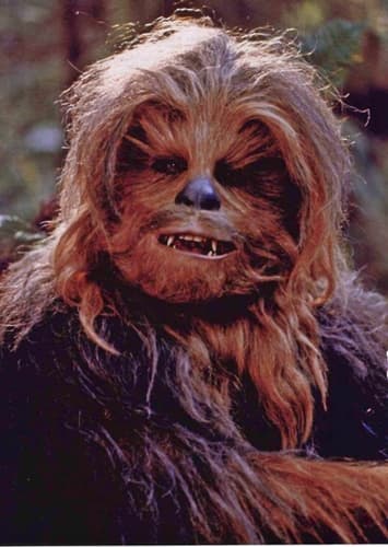 Chewbacca