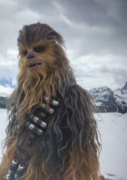 Chewbacca