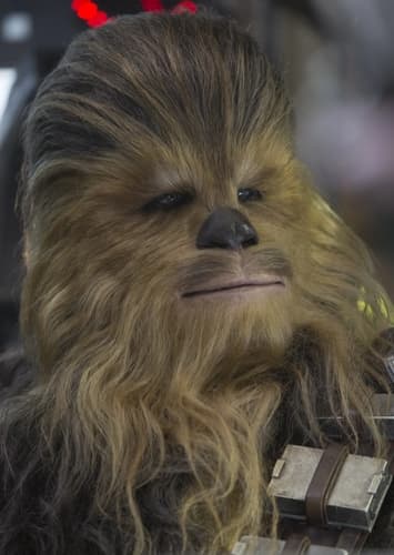 Chewbacca
