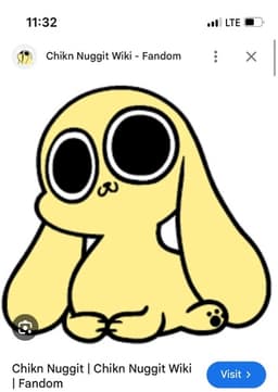 Chikn nuggit