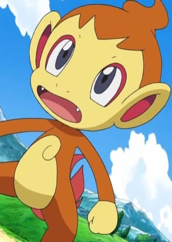 Chimchar